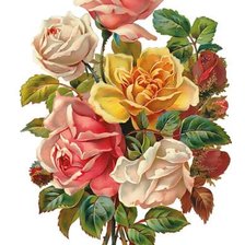 Схема вышивки «№1663023»