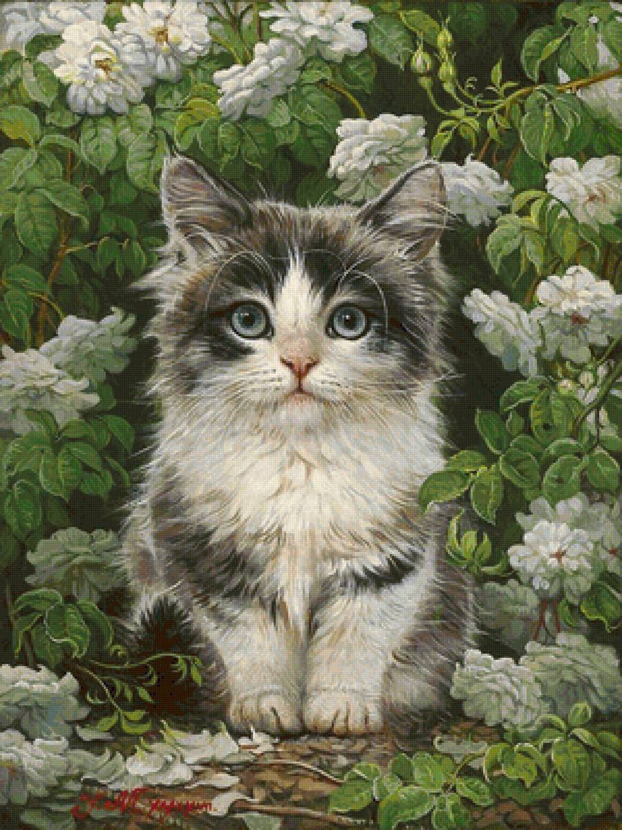 №1663279 - предпросмотр