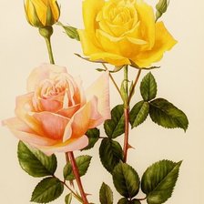 Схема вышивки «№1663348»