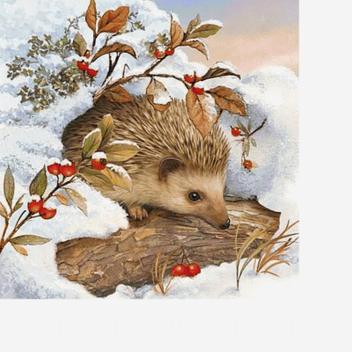 №1663392 - предпросмотр