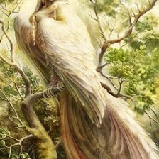 Схема вышивки «Сирин»