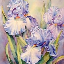 Схема вышивки «№1663647»