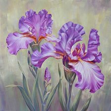 Схема вышивки «№1663649»