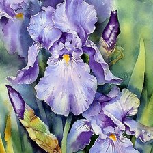 Схема вышивки «№1663665»