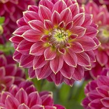 Схема вышивки «№1663787»