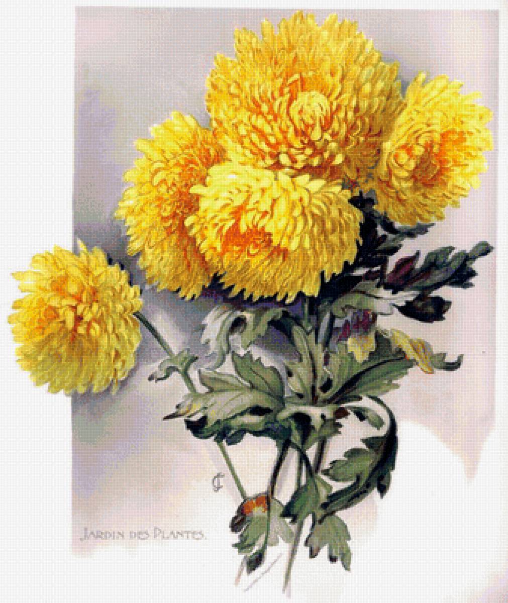 №1663791 - предпросмотр