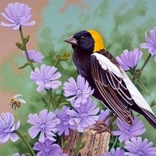 Схема вышивки «птичка»