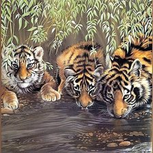 Схема вышивки «№1664170»