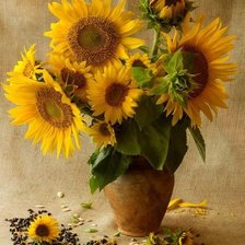 Схема вышивки «подсолнухи»