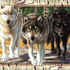 мир животных