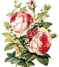 Схема вышивки «букет»