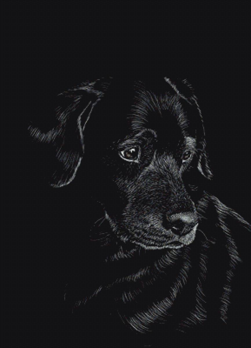 №1664664 - предпросмотр