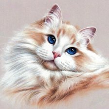 Схема вышивки «взгляд»