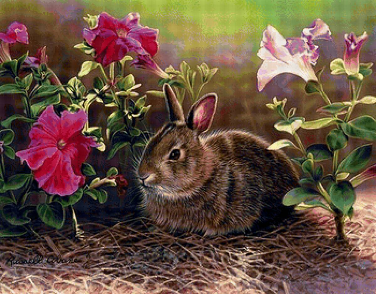 №1665018 - предпросмотр