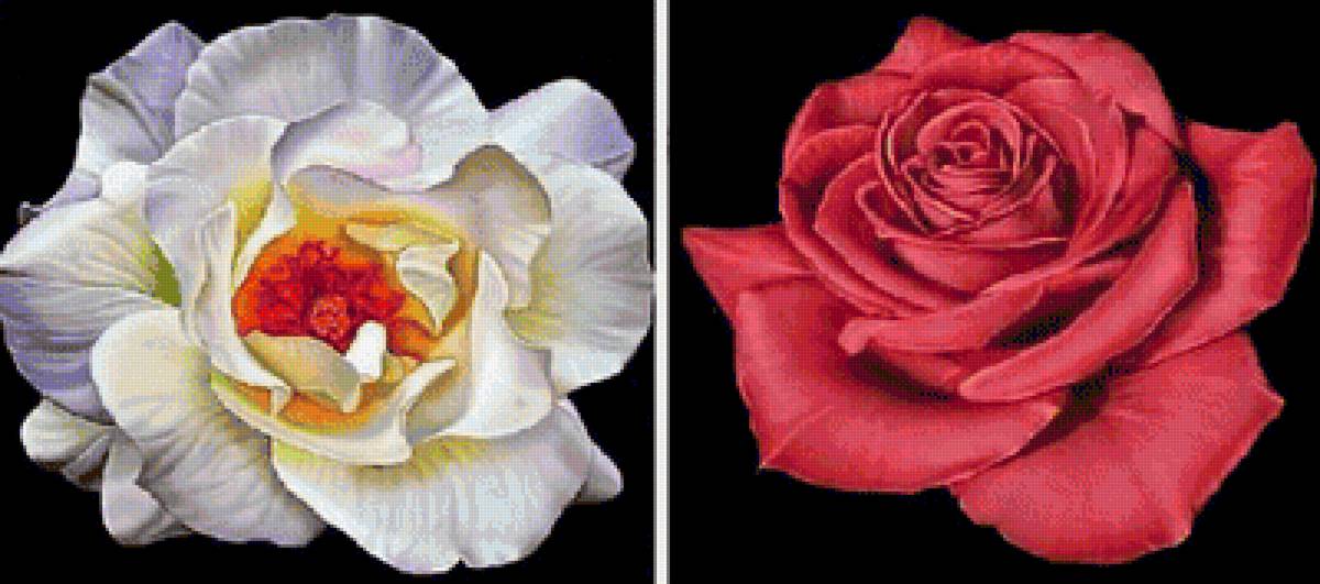 №1665195 - предпросмотр