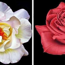 Схема вышивки «№1665195»