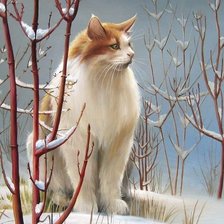 Схема вышивки «№1665593»