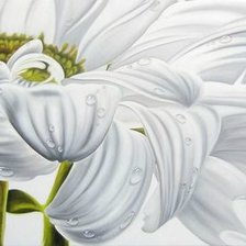 Схема вышивки «Белая гербера»