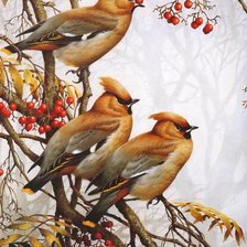 Схема вышивки «Птицы на ветке»