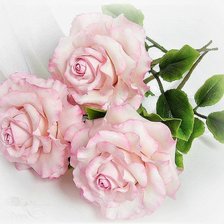 Схема вышивки «три розы»