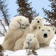 Схема вышивки «№1665931»