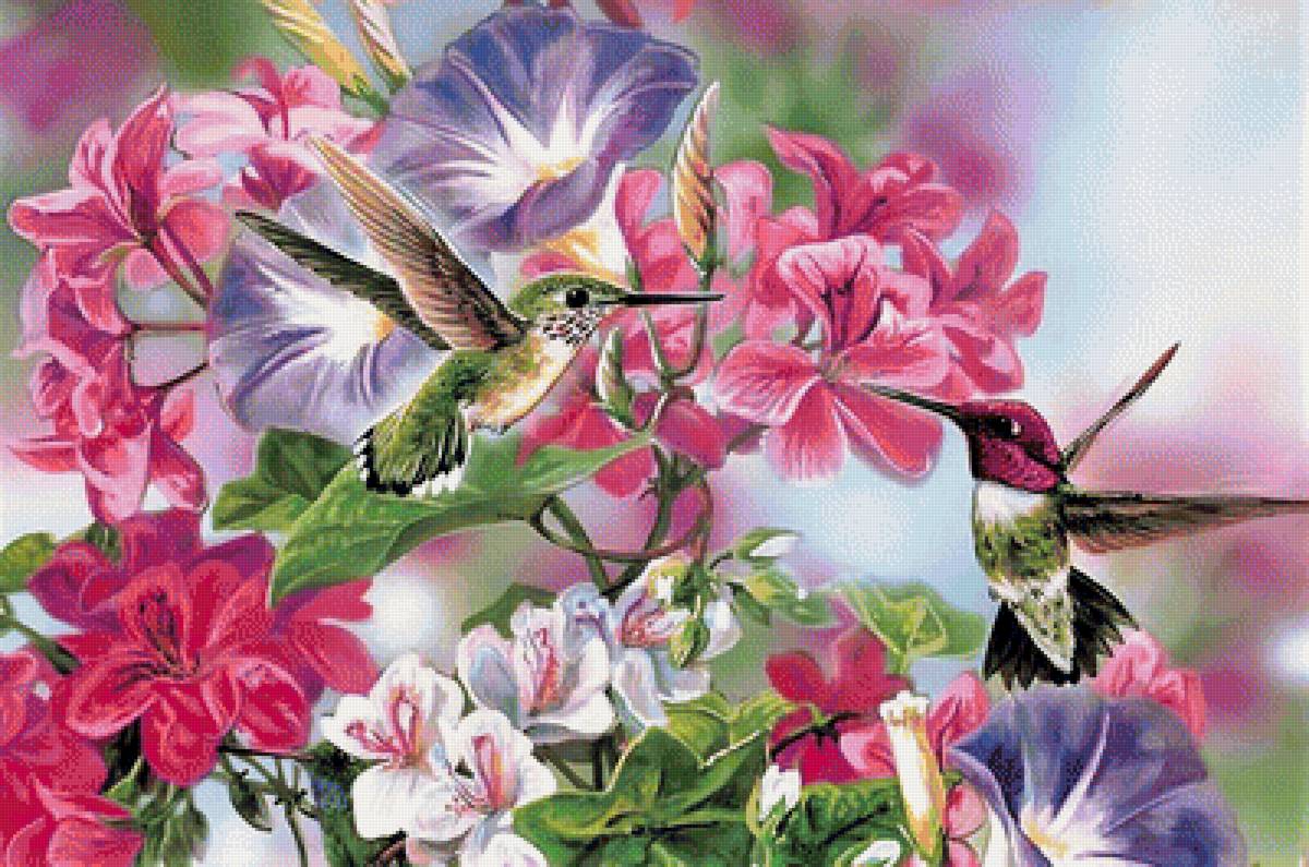 цветы и птицы - птицы, природа, живопись, цветы - предпросмотр