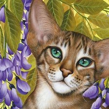 Схема вышивки «№1666034»