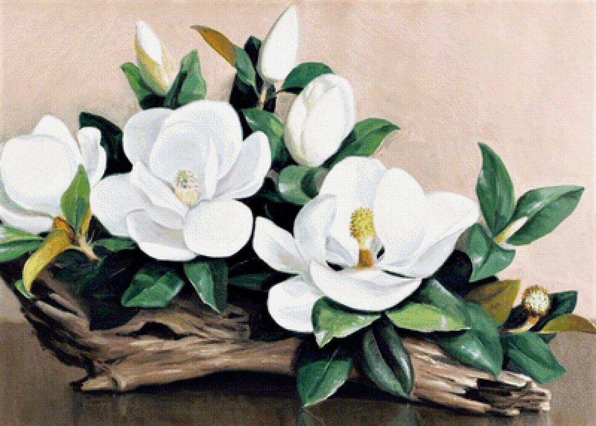 белые цветы - фото, цветы - предпросмотр