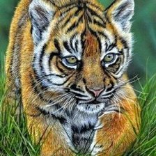 Схема вышивки «№1666099»