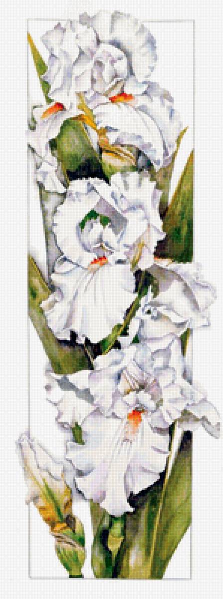 №1666317 - предпросмотр