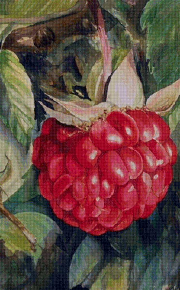 №1666458 - предпросмотр