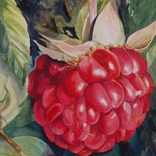 Схема вышивки «№1666458»