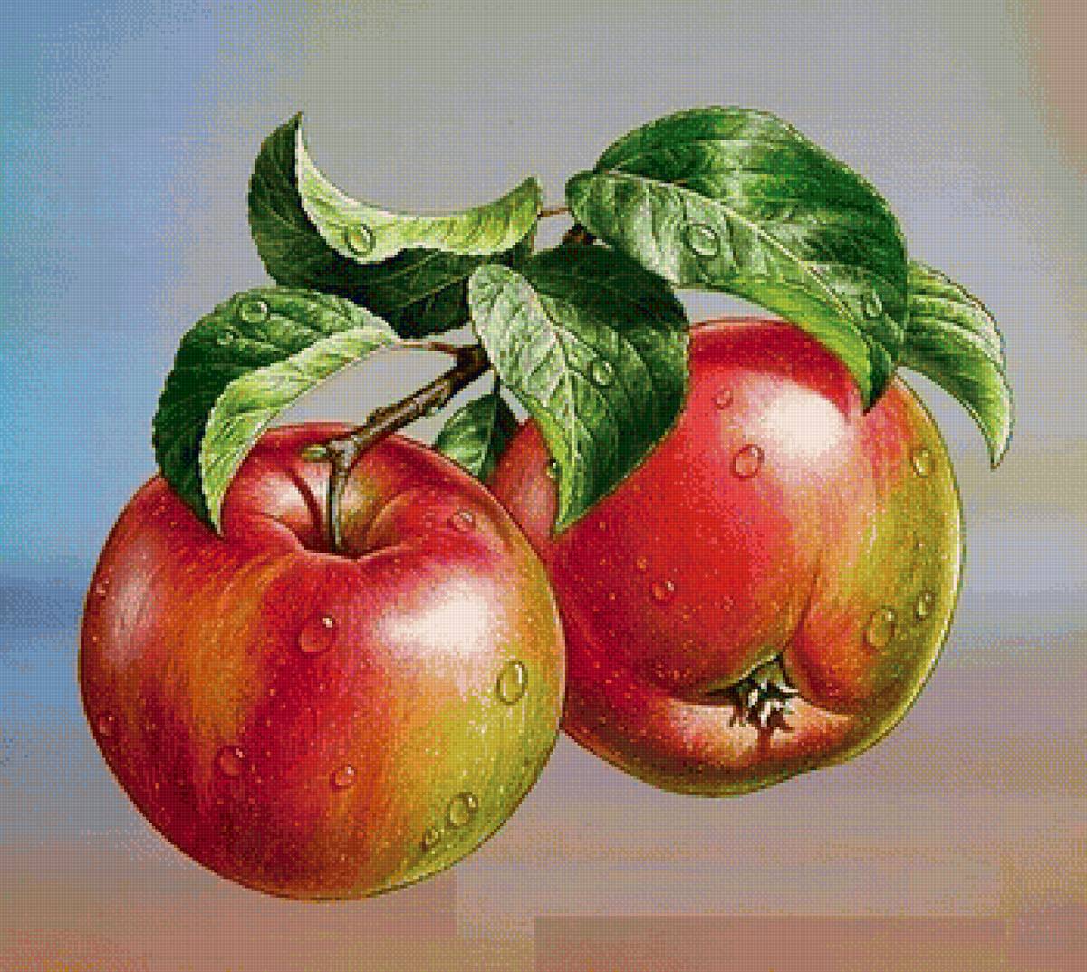 №1666463 - предпросмотр