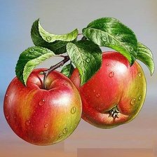 Схема вышивки «№1666463»