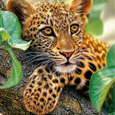 Схема вышивки «206»