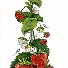 Схема вышивки «№1666643»