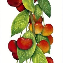 Схема вышивки «№1666646»