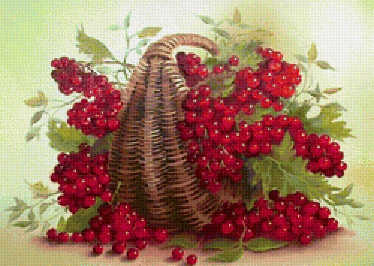 Калина Красная - предпросмотр