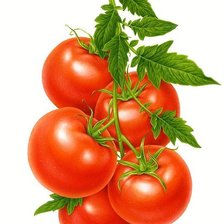 Схема вышивки «№1667154»