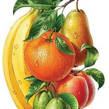 Схема вышивки «№1667257»