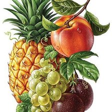 Схема вышивки «№1667258»