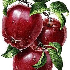 Схема вышивки «№1667262»