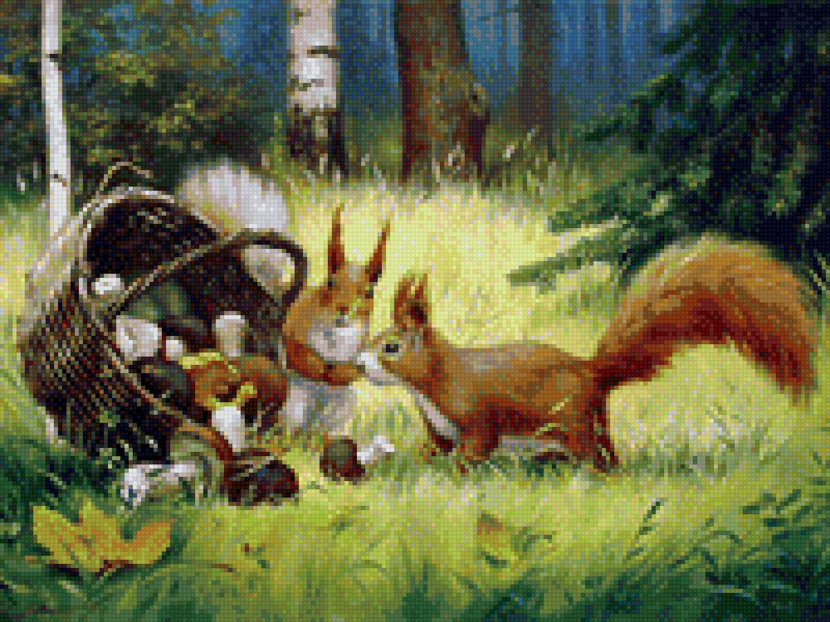 Белки - предпросмотр