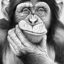 Схема вышивки «Мир животных»