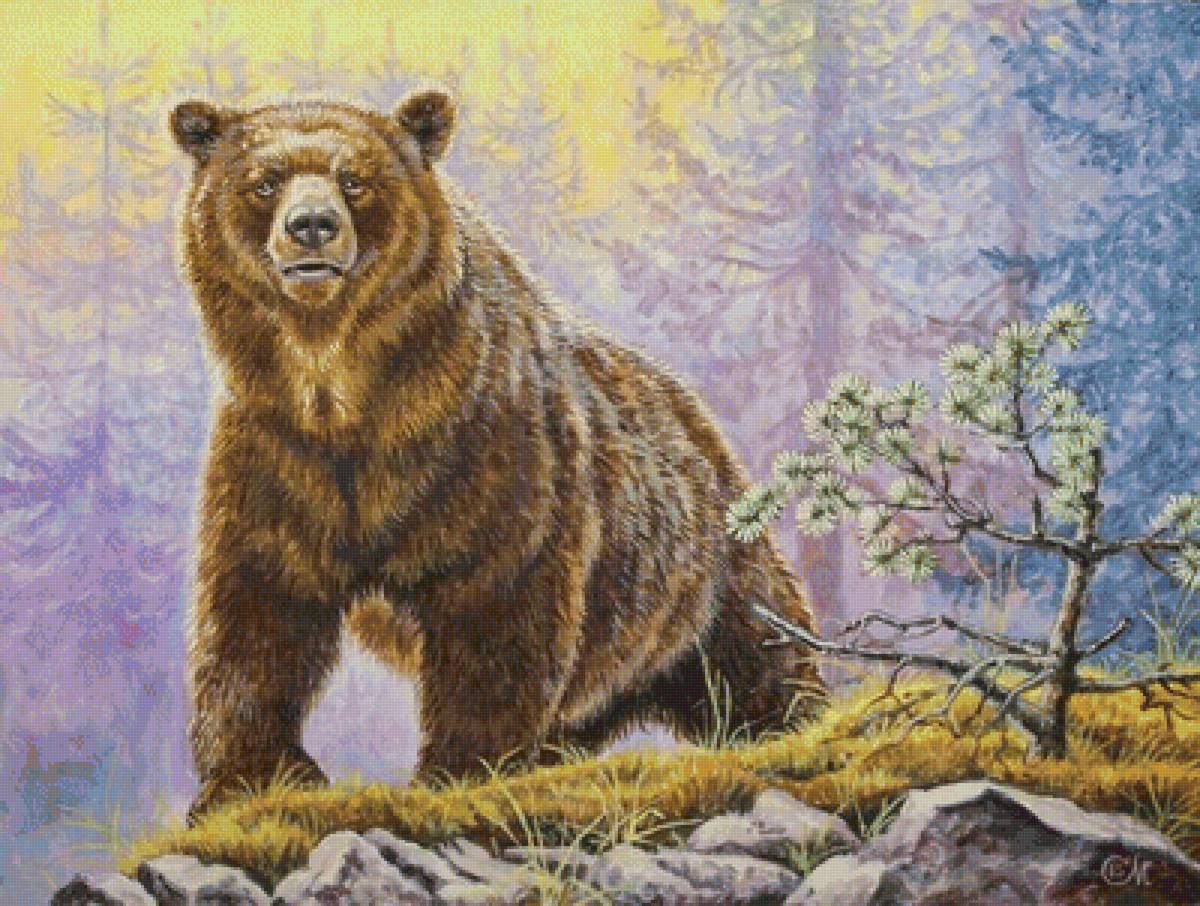 №1667647 - животный мир, медведь - предпросмотр