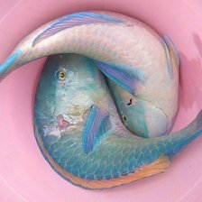 Схема вышивки «Рыбки»