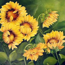 Схема вышивки «№1667905»