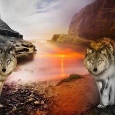 Схема вышивки «волки»