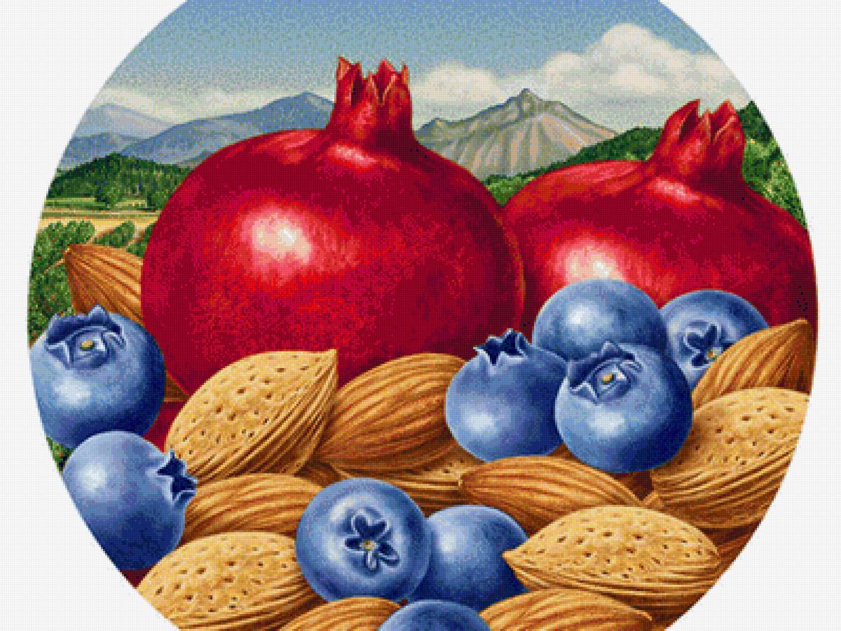 №1668170 - предпросмотр