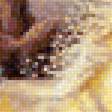 Предпросмотр схемы вышивки «кони» (№1668323)